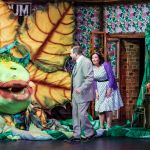 LITTLE SHOP OF HORRORS - A1 STAGE SCENERY AND SET HIRE FOR - 17b