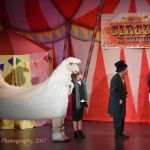 doctor dolittle - 14 - a1 stage scenery and set hire for